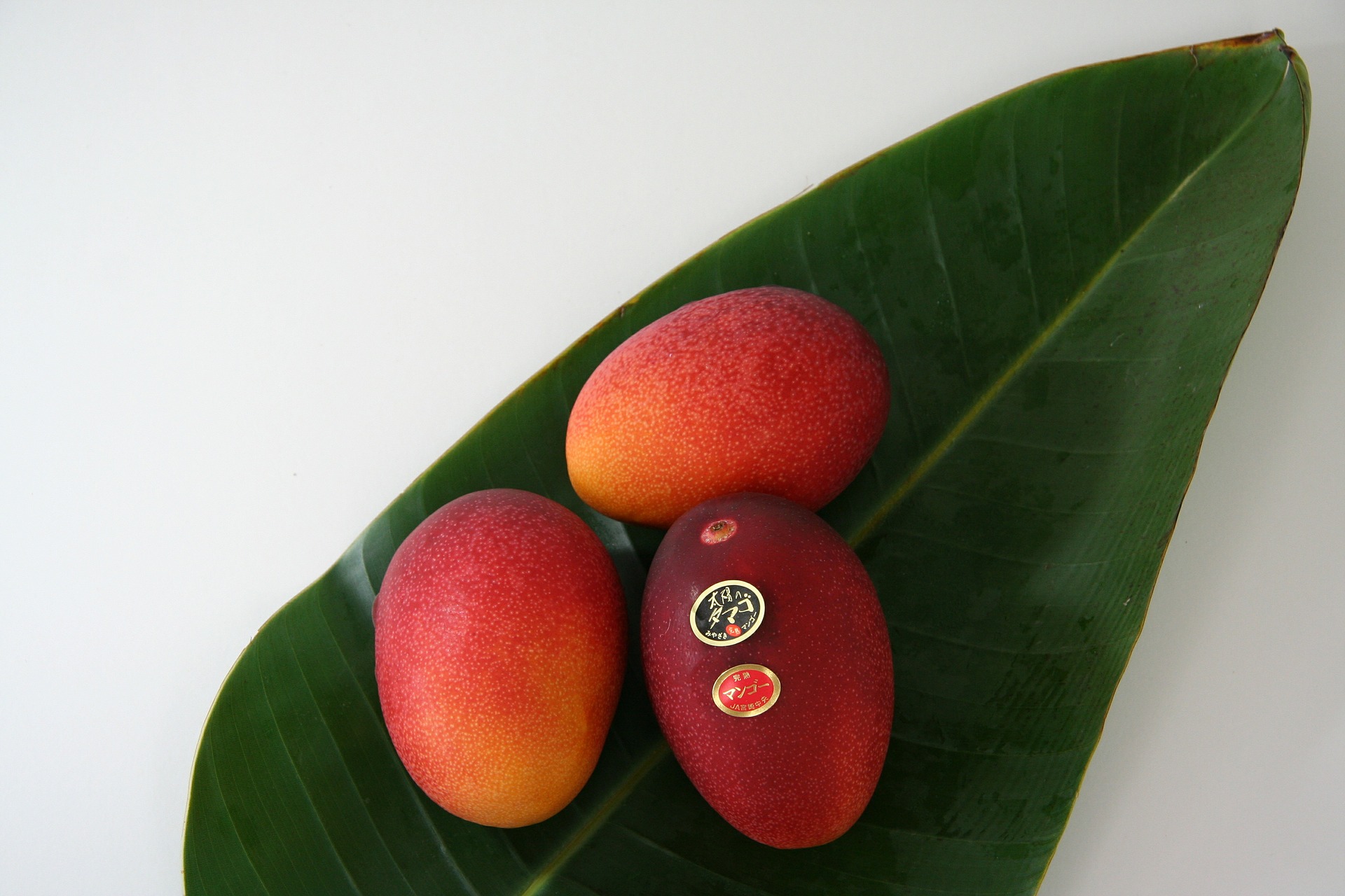 the-world-s-most-expensive-fruit