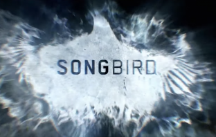 Songbird Movie May Be Art Imitating Life