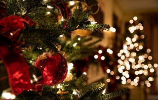 Ingenious Hack To Make Live Christmas Trees Last Longer