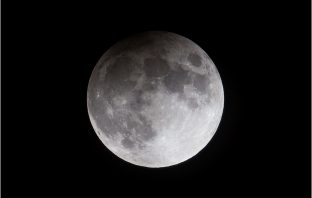 January Will See The Appearance Of The Wolf Moon