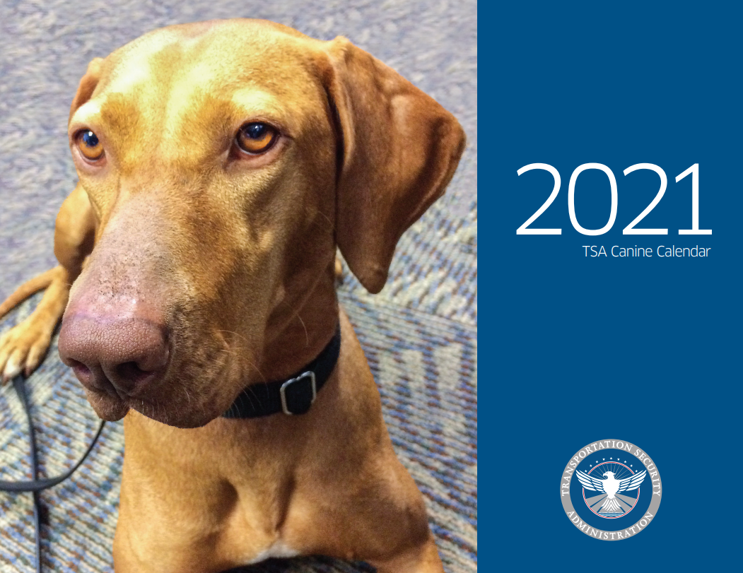 TSA Releases FeelGood Dog Calendar