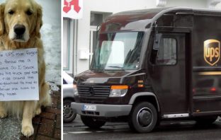 Pup Gets Shamed Over Stowing Away On UPS Truck