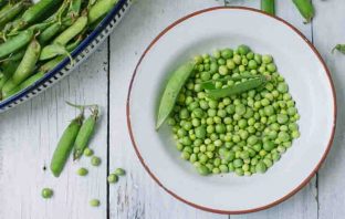 Can Dogs Eat Peas?
