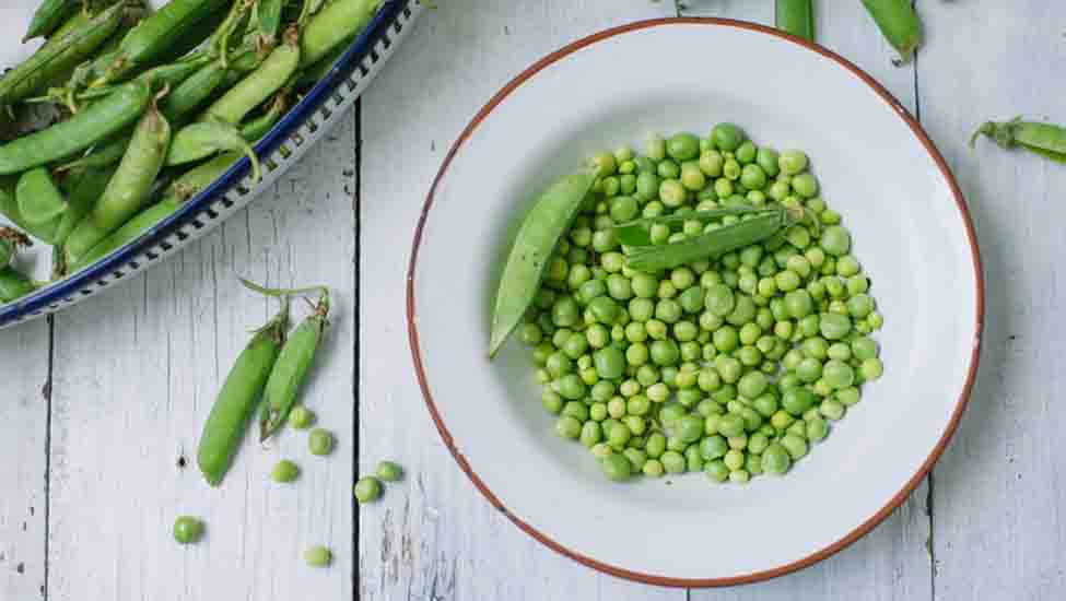 Can Dogs Eat Peas?