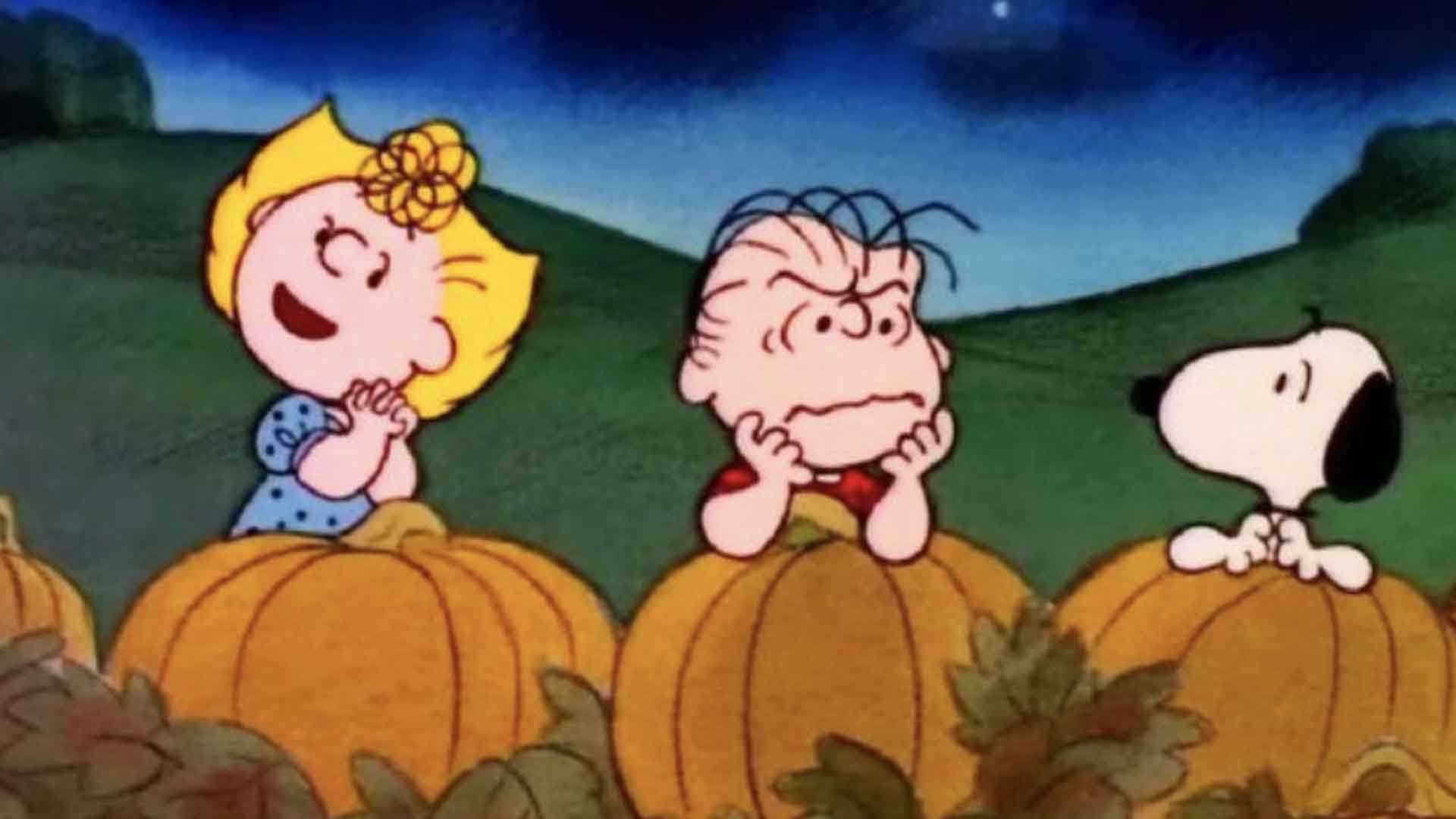 Charlie Brown And The Gang Back In Halloween Special