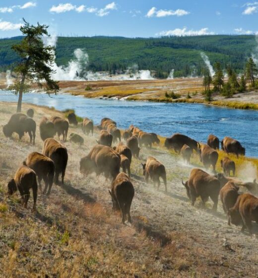 America’s Most Remarkable UNESCO Treasures To Discover
